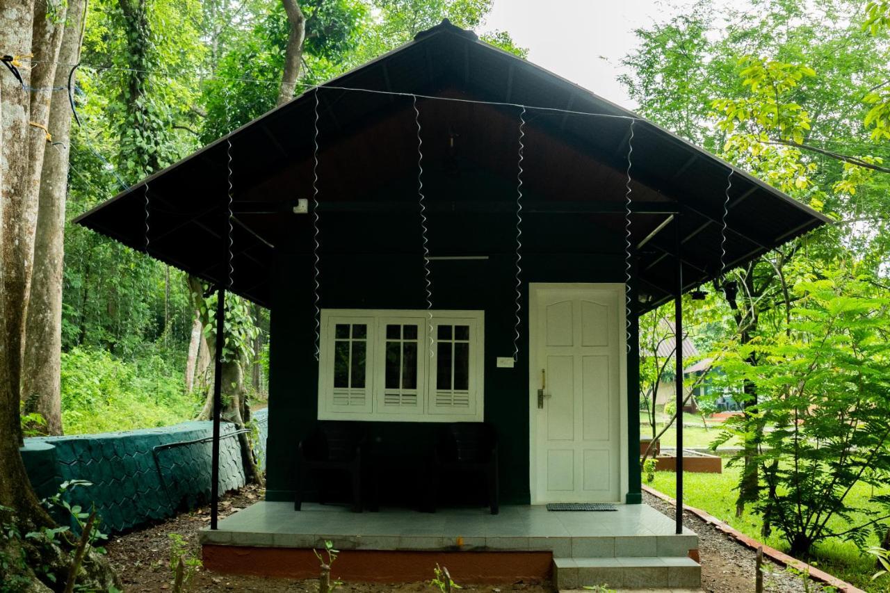 The Nest Thattekad Thattakād Kültér fotó
